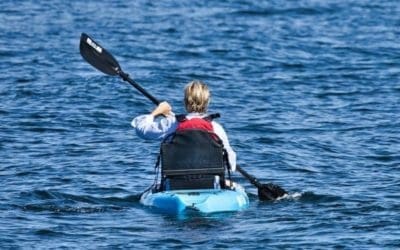 Kayak Gear: Essential Kayaking Equipment for Kayak Beginners