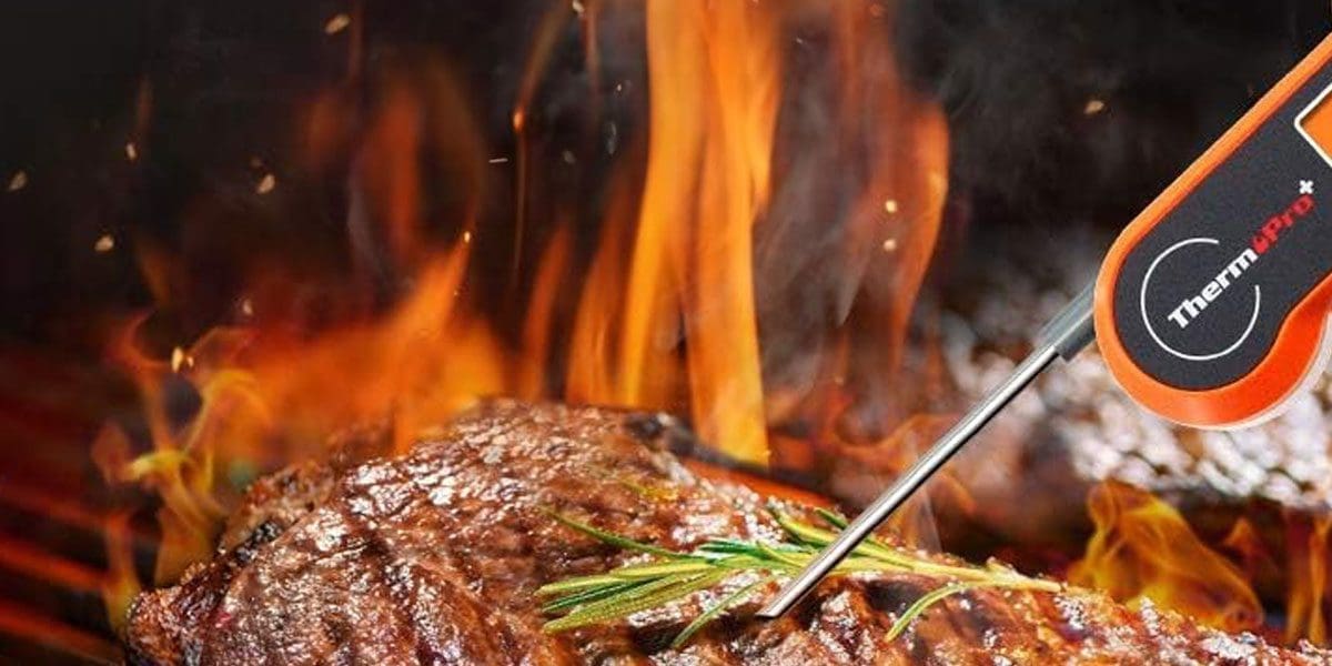 ThermoPro TP19H Digital Meat Thermometer for Cooking BBQ ThermoPro TP19H Digital Meat Thermometer for Cooking BBQ