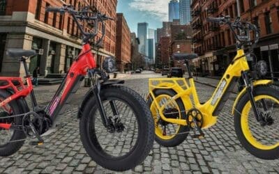 YinZhiBoo Electric Bike Review: Powerful and Versatile